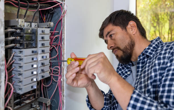 Best Electric Panel Repair  in Lake St Louis, MO